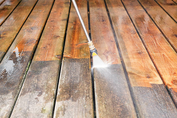 Best Power Washing Near Me  in Georgiana, AL