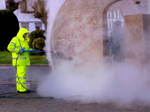 Best Roof Pressure Washing  in Georgiana, AL